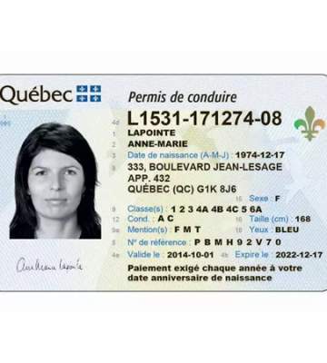 Canadian Driver's License